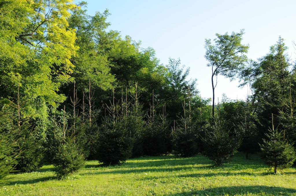 Horvath Vendeghaz Otel Monosbel Oda fotoğraf